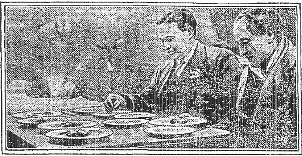 Caption: “NOVEL SCENE AT THE LAW COURTS – At the Docker’s Inquiry yesterday, Mr. E. Bevin, the ‘Dockers’ K.C.,’ exhibited replicas of the meals actually obtained by his clients to-day and what they should receive. The picture shows Mr. Bevin and Mr. Ben Tillett arranging the specimens.”